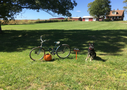Happy Halloween Bike with Teanna 2018-09-22