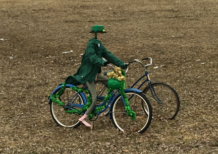St. Patrick's Day Yard Display 2019-03-07