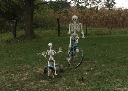 Bicycle Skeleton Adult and Child 2018-10-08